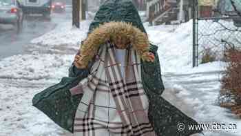 Storm set to bring 30 cm of snow to some areas of N.B.