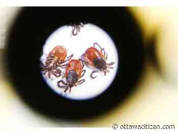 Egan: If ticks could talk — new survey wants feedback on that OTHER nasty bug