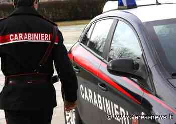 Rissa tra il vicinato a Cardano al Campo, quattro le denunce dei carabinieri - Varesenews