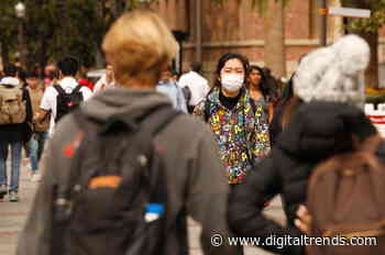 World Health Organization to launch coronavirus symptom-checking app