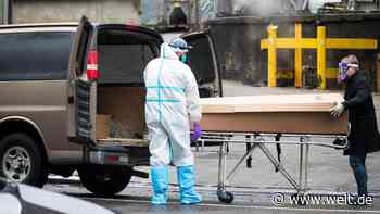 Eine Übersterblichkeit ist nicht erkennbar – doch was sagt uns das?