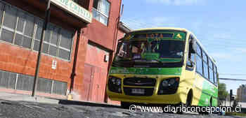 Microbuses Coronel-Lota no retomaron recorridos como habían anunciado - Diario Concepción