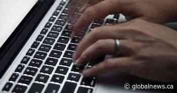 New online tool allows Edmontonians to access more COVID-19 statistics - Global News