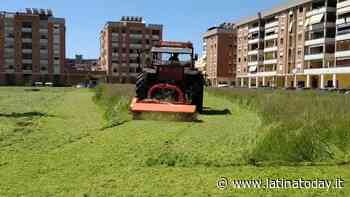 Taglio dell’erba a Latina: il programma degli interventi dall’11 al 16 maggio - LatinaToday