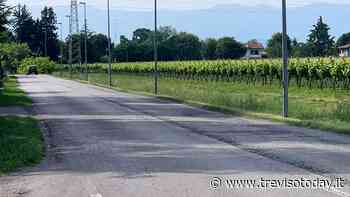 Vazzola si fa bella: concluso il primo sfalcio dell'erba post Covid-19 - TrevisoToday
