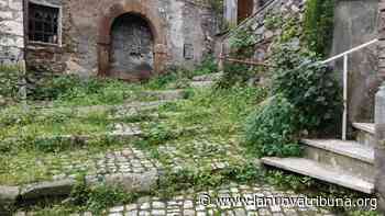 Artena: polemica per l'erba nella villa ma per quella tra case e allergici? - La Nuova Tribuna