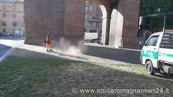 Bologna, via l’erba dai marciapiedi e dalle aree pavimentate della città - Emilia Romagna News 24