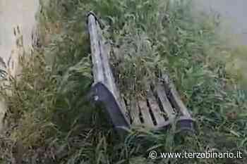 Panchine coperte dall'erba e cancelli aperti: lungo il Parco Lineare "è anarchia" - TerzoBinario.it