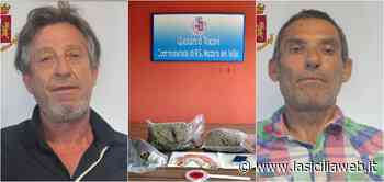 Presi con le mani nel sacco pieno di "erba" - lasiciliaweb | Notizie di Sicilia