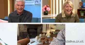 Britain's Got Talent dog Miracle causes mayhem on This Morning