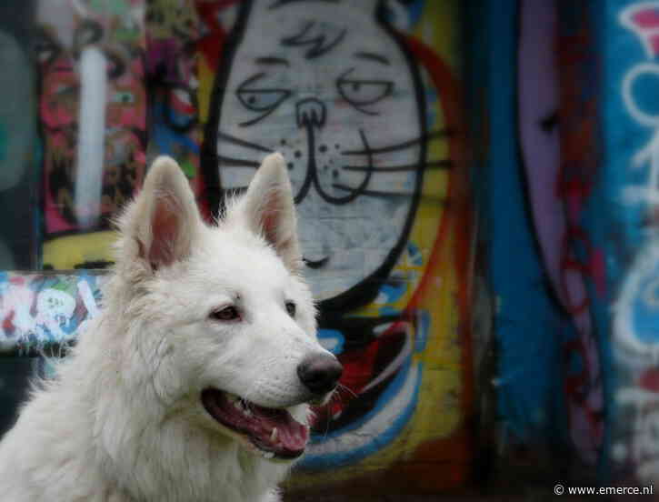 Zooplus verhoogt omzet- en winstverwachting