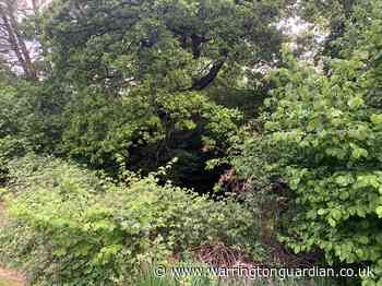 Anger over ‘lost’ pond in Appleton