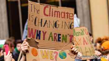 In numbers: The public's understanding of net-zero and green policies