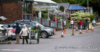 The long queues outside Welsh garden centres as they reopen