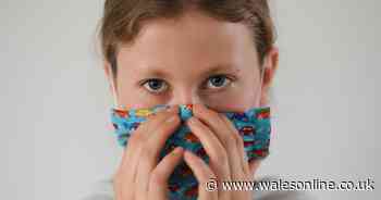 Government advice on making and wearing your own cloth face mask