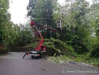 Maltempo, 15 interventi dei Vigili del Fuoco di Ponzone per alberi caduti in strada FOTO - newsbiella.it