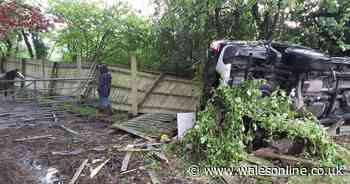 Another car crashed off the M4 next to stables at the weekend