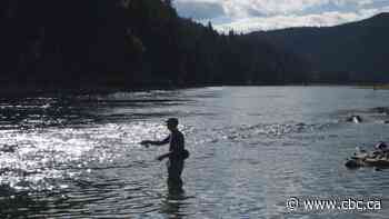 U.S. demands explanation from province over river pollution from B.C. mines