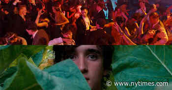 What to Watch on Netflix to Help Language Learning