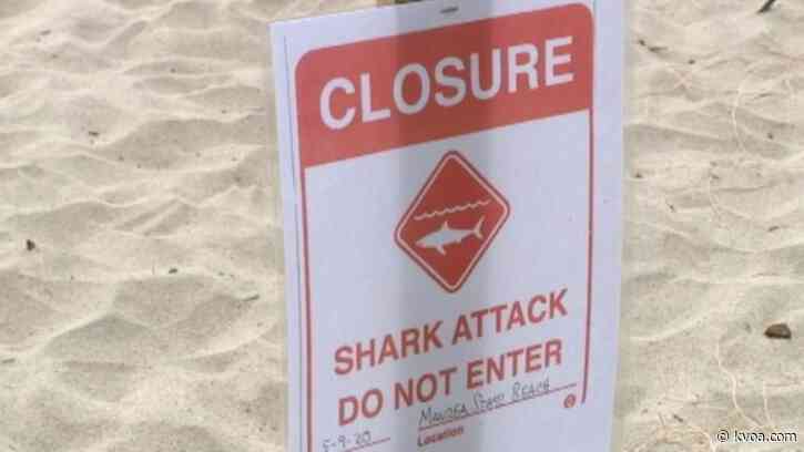 Surfer killed in shark attack in Northern California