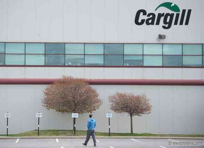 ‘Heavy handed’ approach would force inspectors into infected plants: Union