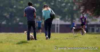 What First Minister Mark Drakeford said about meeting family members in the park