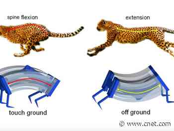 Scientists create a super speedy soft robot based on the cheetah     - CNET