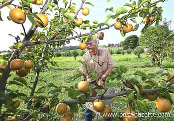Pa.-based grocery chain gives emergency grants to food producers across the state