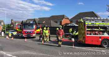 Truck crashes through garden wall just minutes after couple were sat outside