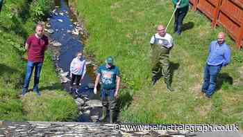 Outcry as pollution kills more than 1,000 fish in Co Antrim river