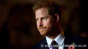 Harry’s tribute to war veterans who acted as plastic surgery guinea pigs