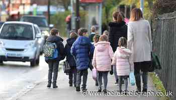 Primary school classes should be limited to 15 pupils, Government guidance says