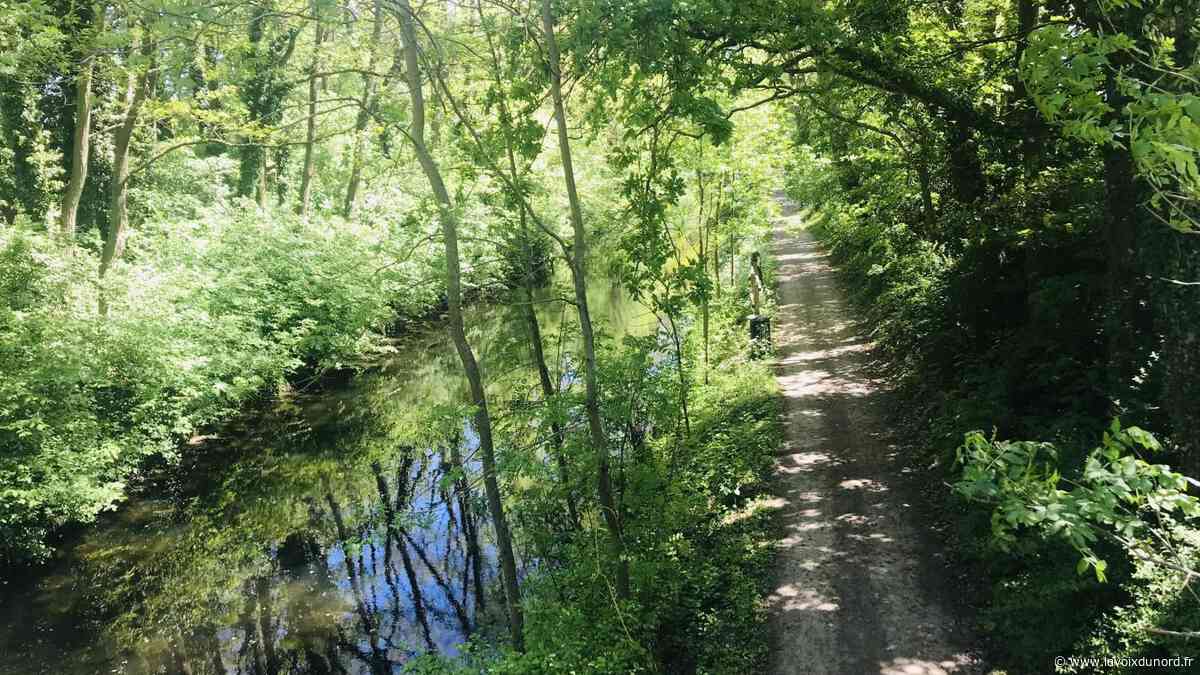 Les berges du canal de Seclin et de la Deûle rouvrent aux promeneurs - La Voix du Nord
