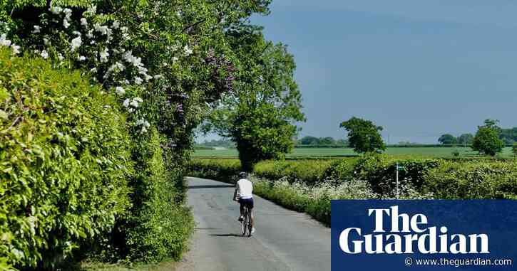 How is the Covid-19 energy slump affecting the weather?
