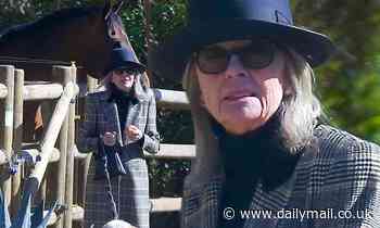 Diane Keaton shows the horses near her Pacific Palisades mansion some love
