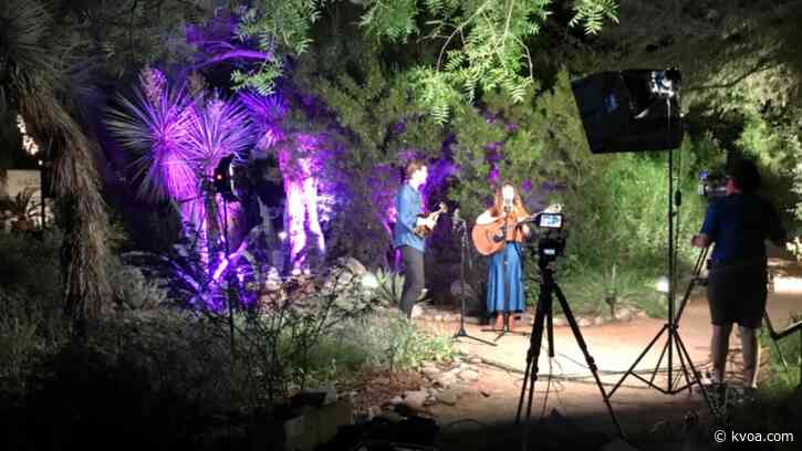 Local musicians bring virtual concerts to the Gardens