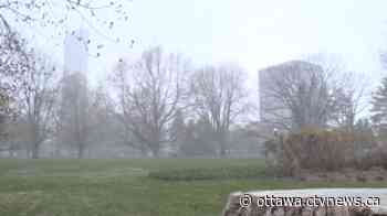 Frosty days ahead for Ottawa - CTV News