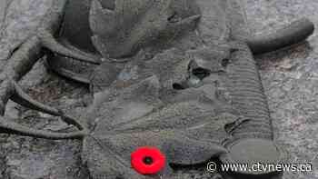 'In our homes and in our hearts': Virtual ceremony in Ottawa commemorates VE-Day - CTV News