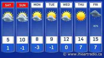 Flurries fly across Ottawa and the Ottawa Valley - Newstalk 1010 (iHeartRadio)