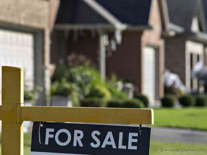 Sales take a hit but realtor remains optimistic