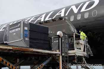 Empezaron los vuelos cargueros de Air New Zealand a Buenos Aires - Aviacionline.com