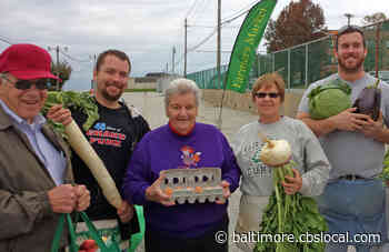 Baltimore County Farmers Market Opens June 3 At Maryland State Fairgrounds - CBS Baltimore