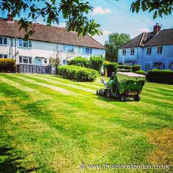 Harrow Council responds to ‘No Mow May’ grass cutting queries