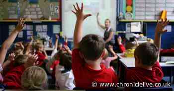 Primary school classes should be limited to 15 pupils, Government says