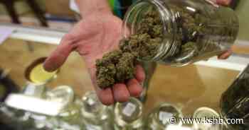 Amendment would let more businesses get a Missouri medical marijuana license - KSHB