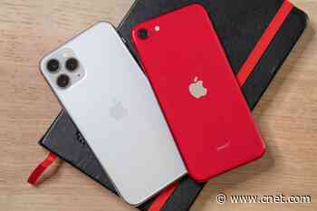 New iPhone SE (2020) and iPhone 11 Pro compared video     - CNET