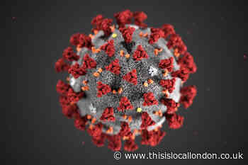 Coronavirus: London deaths down 50 per cent in a week