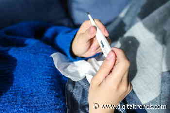 The best digital and smart thermometers for 2020