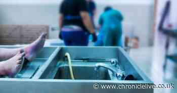 Controversial live autopsy show launches online