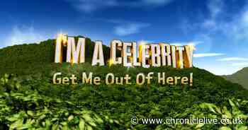 Ex-Newcastle player confirms he's up for I'm A Celebrity